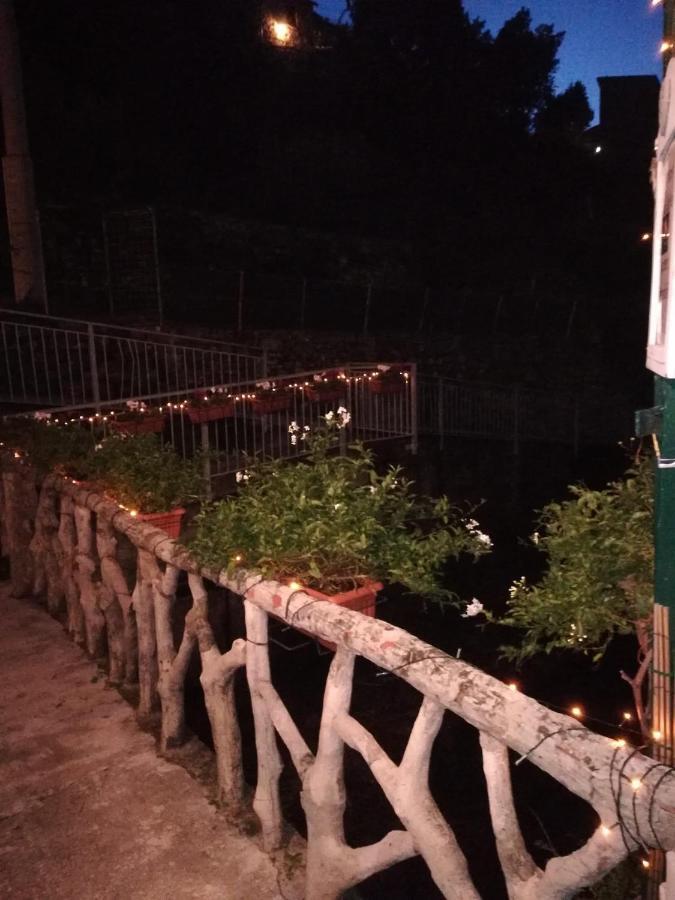 Posidonia Cinque Terre Guesthouse Manarola Eksteriør bilde